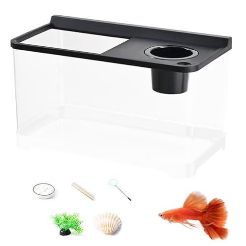 Kleines Kampffischbecken Mit 3 Farblichtern | Dekoratives Fischbecken,360° Sicht Aquarium Für Wohnzimmer Arbeitszimmer Schlafzimmer Kleines Kampffischbecken Mit 3 Farblichtern | Dekoratives Fischbecken,360° Sicht Aquarium Für Wohnzimmer Arbeitszimmer Schlafzimmer von Qikam