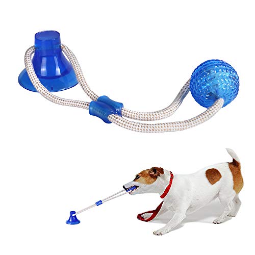 Saugnapf Hundespielzeug Tauziehen Hundespielzeug mit Saugnapf Multifunktions Interaktive Seile Spielzeug zum Zerren, Ziehen, Kauen von Qilmy