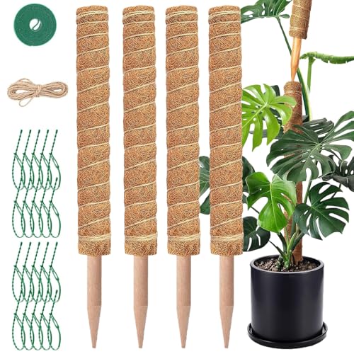 4 Stück 42 cm Monstera Rankhilfe - Moosstab für Monstera - Ausziehbare Pflanzenstütze - Moosstab mit Hanfseil, Klettverschluss und Fischgräten-Kabelbindern für Monstera und weitere Kletterpflanzen von QinOustore