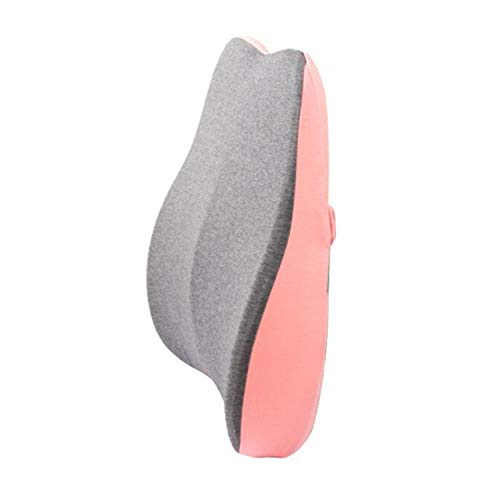 Qingzhuan Rücken Lendenkissen Memory Foam Rückenkissen Waschbare Bezüge Therapie Haltung Sitzkissen Rückenschmerzen vorbeugen (Rosa) von Qingzhuan