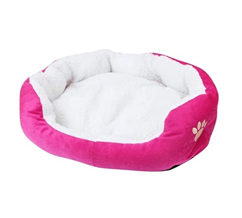 Katzenbett Kätzchen Bett Haustier Bett Haustier Bett für kleine mittelgrockne Hundekiste Kiste Weich Bettwäsche alle Jahreszeiten Welpe Hundehaus Haustierbett Haustier Kissen Höhle (Rosa, 50 cm x 40 Katzenbett Kätzchen Bett Haustier Bett Haustier Bett für kleine mittelgrockne Hundekiste Kiste Weich Bettwäsche alle Jahreszeiten Welpe Hundehaus Haustierbett Haustier Kissen Höhle (Rosa, 50 cm x 40 von Qinhaixi