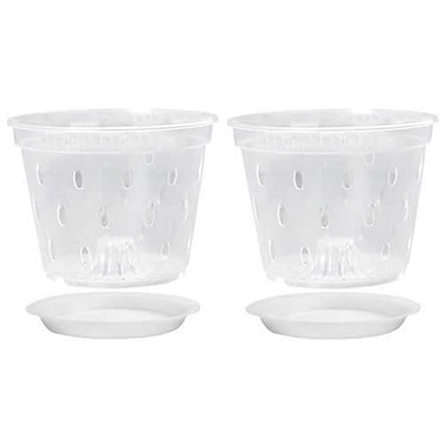 Qinlenyan Transparente Orchideentöpfe aus Kunststoff mit Drainagelöchern, wiederverwendbare Orchideentöpfe mit Löchern zum Umtopfen, 14 cm, 2 Stück von Qinlenyan