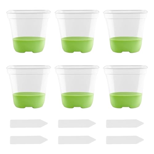 Qinlenyan Transparente Pflanztöpfe mit Entwässerungslöchern, Setzlinge, Anzuchttöpfe mit Silikonbasis, wiederverwendbare Samen, Startertöpfe mit Etiketten, für Garten, Balkon, fluoreszierend, 6 Stück von Qinlenyan