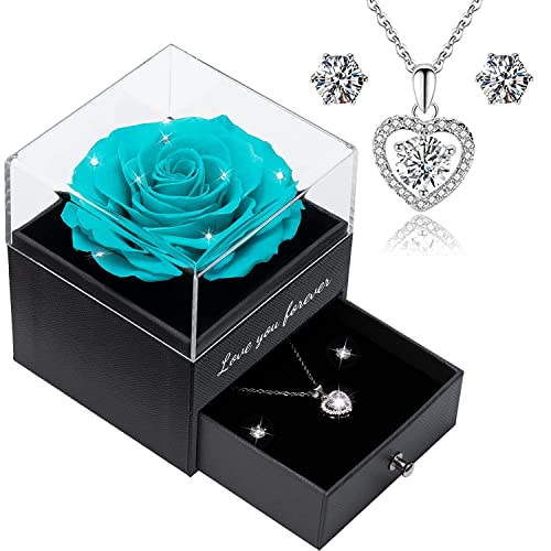 Qinqinxin Muttertagsgeschenk für Mama Ewige Echte Rose Love You Forever Geschenkbox konservierte echte Rose mit Herz für Valentinstag Muttertag Hochzeit Jahrestag Geburtstag Geschenk für Sie von Qinqinxin