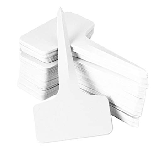 Qiorange 100Stk. Mini T-Form Plastik Pflanzenstecker Stecketiketten Beschriften Pflanzschilder Schilder 6CM * 10CM Sind Praktisch für Alle "Gärtner" (100 Pcs Weiß Type B) von Qiorange