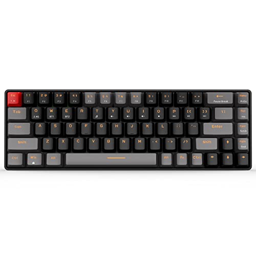 Qisan Mechanical Wireless Keyboard Gaming Keyboard Red Switch Mini Design (60%) 68 Tasten US-Layout-Grau und Schwarz von Qisan