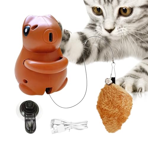 Qiwieod Eichhörnchen Katzenspielzeug | Indoor Katzenspielzeug Für Zuhause | Kätzchen Spielzubehör In Eichhörnchenform Für Haustiere Wand Tür Schlafzimmer Balkon Garten Wohnzimmer Arbeitszimmer von Qiwieod