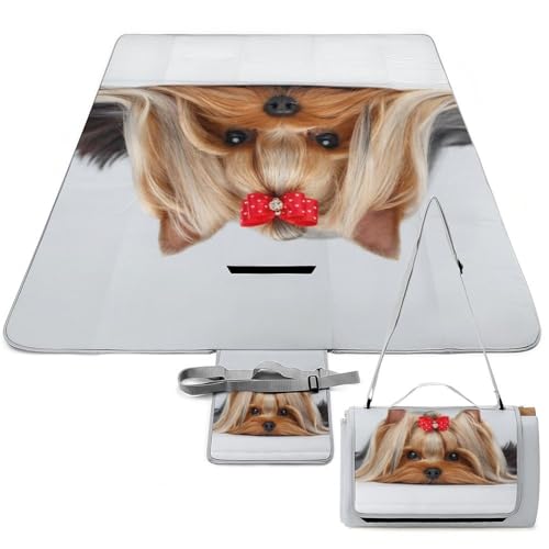 Qjjinxior Picknickmatte, Yorkshire Terrier, quadratische Picknickdecke, Outdoor-Teppiche, 148 x 148 cm von Qjjinxior
