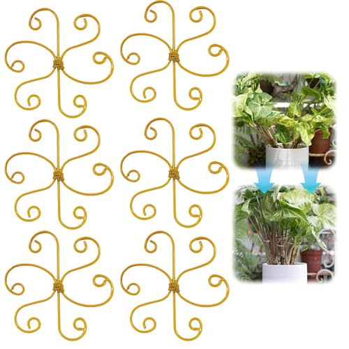 Qkbuza STEM -Unterstützung, Pflanzenstammunterstützung - Klettern Sie Haussäurestammunterstützung | Set von 6 wiederverwendbaren Pflanzenstabilisatoren für Monstera Bonsai Zimmerpflanzen Innen- und von Qkbuza