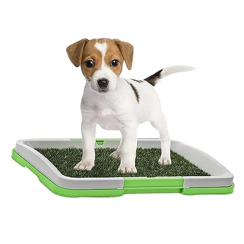 Qmisify Gras für Töpfchen, Welpen, Training, Gras, Unterlage für Töpfchen, Haustiermatte, Urin-Pads, Gras Qmisify Gras für Töpfchen, Welpen, Training, Gras, Unterlage für Töpfchen, Haustiermatte, Urin-Pads, Gras von Qmisify