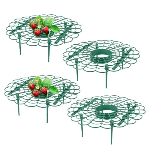 QmjdDymx Erdbeerträger Strawberry unterstützt 4pcs Erdbeerpflanzenschutzgartenpflanze Stütze Käfige Anbau Racks erhöhen die Früchte weit Weg von Boden vermeiden Gartenschleuder von QmjdDymx