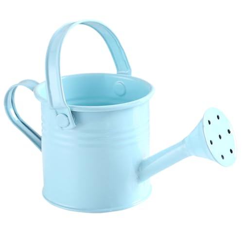 QmjdDymx Kleine Bewässerung von Metallkindern kann mit Griff für den Gebrauch in Innen- und Außenbereich (hellblau), Mini -Bewässerung, Kinder 2.8x4.7 von QmjdDymx
