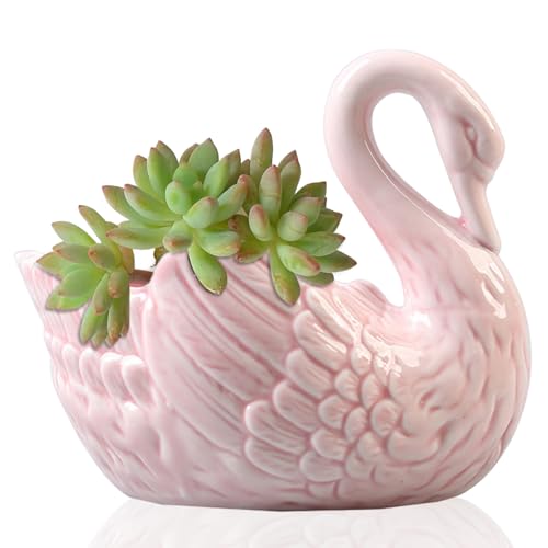 QmjdDymx Kleine Töpfe für Pflanzen, Schwanenkeramik-Sukkulenten-Pflanzentopf 9, 5x9.8 cm, Multifunktions-Kerzenhalter und Schmuckschachtel, Home Decoration (Rosy) von QmjdDymx