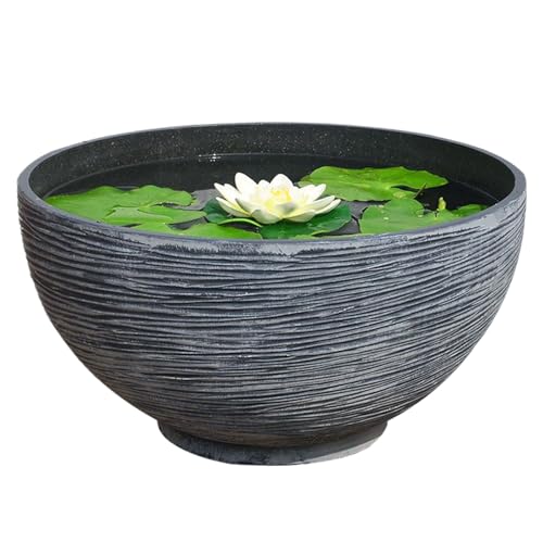 QmjdDymx Lotus Bowl Pflanzer, 14 x 7 x 7 Zoll exquisit groß von QmjdDymx