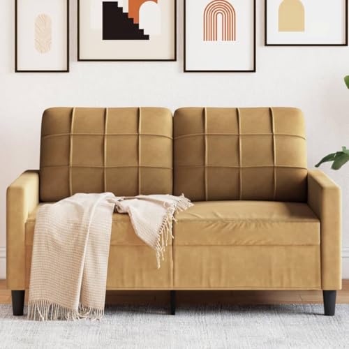 Qnhdfrt 2-Sitzer Sofa Braun 120 cm Samt Modernes Design Robust und Bequem für Wohnzimmer Balkon Jugendzimmer Qnhdfrt 2-Sitzer Sofa Braun 120 cm Samt Modernes Design Robust und Bequem für Wohnzimmer Balkon Jugendzimmer von Qnhdfrt