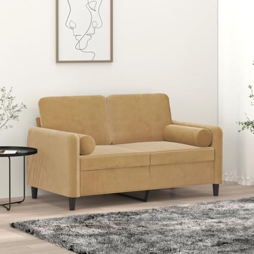 Qnhdfrt 2-Sitzer Sofa Couch Braun Samt Modernes Design mit Zierkissen 120 cm Sitzbreite Robustes Metallgestell Bequem für Wohnzimmer Loungebereich Qnhdfrt 2-Sitzer Sofa Couch Braun Samt Modernes Design mit Zierkissen 120 cm Sitzbreite Robustes Metallgestell Bequem für Wohnzimmer Loungebereich von Qnhdfrt