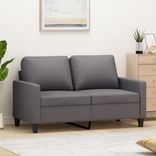Qnhdfrt 2-Sitzer Sofa Grau 120 cm Kunstleder Modernes Design Bequem Robust für Wohnzimmer Balkon Qnhdfrt 2-Sitzer Sofa Grau 120 cm Kunstleder Modernes Design Bequem Robust für Wohnzimmer Balkon von Qnhdfrt