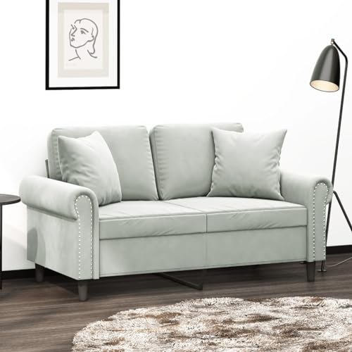 Qnhdfrt 2-Sitzer Sofa Hellgrau 120 cm Samt Modernes Couch mit Zierkissen Robuste Metallkonstruktion Bequem für Wohnzimmer kleine Räume von Qnhdfrt