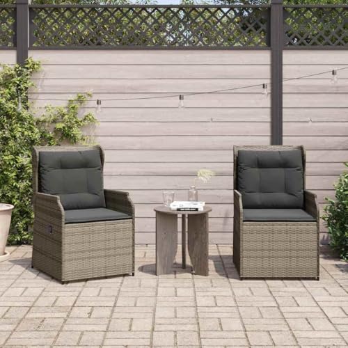 Qnhdfrt 2er Gartenbank Set Grau Poly-Rattan 53 cm Breit verstellbare Rückenlehne 110 kg Outdoor & Balkon Modernes Design und wetterbeständige Materialien für Garten Balkon und Wohnzimmer Qnhdfrt 2er Gartenbank Set Grau Poly-Rattan 53 cm Breit verstellbare Rückenlehne 110 kg Outdoor & Balkon Modernes Design und wetterbeständige Materialien für Garten Balkon und Wohnzimmer von Qnhdfrt