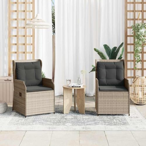 Qnhdfrt 2er Gartenbank Set Hellgrau Poly Rattan verstellbare Rückenlehne 55 x 67 x 95 cm Modernes Design für Garten Balkon und Wohnzimmer von Qnhdfrt