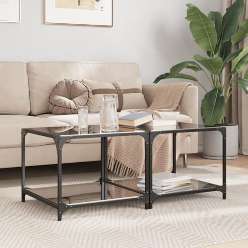 Qnhdfrt 2er Set Couchtische mit Glasplatte Schwarz Stahl Beistelltisch 50x50x40 cm Moderner Sofatisch für Wohnzimmer Schlafzimmer Flur Qnhdfrt 2er Set Couchtische mit Glasplatte Schwarz Stahl Beistelltisch 50x50x40 cm Moderner Sofatisch für Wohnzimmer Schlafzimmer Flur von Qnhdfrt