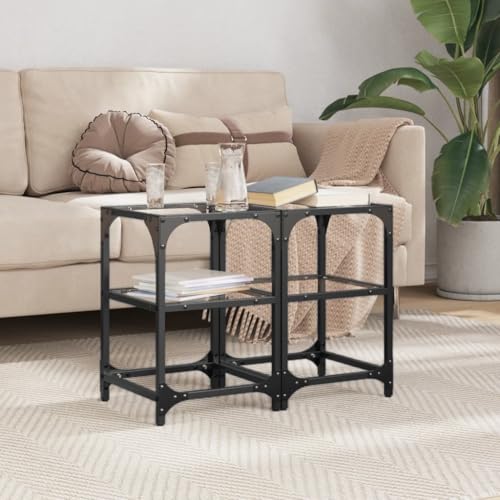 Qnhdfrt 2er Set Transparente Couchtische mit Glasplatte 30x30x45 cm Stahl Beistelltisch Klein Elegant für Wohnzimmer und Schlafzimmer Qnhdfrt 2er Set Transparente Couchtische mit Glasplatte 30x30x45 cm Stahl Beistelltisch Klein Elegant für Wohnzimmer und Schlafzimmer von Qnhdfrt