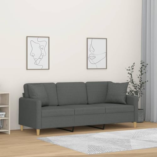 Qnhdfrt 3-Sitzer-Sofa Dunkelgrau 180 cm Stoff Modernes Design mit Zierkissen Robustes Metallgestell Bequem für Wohnzimmer Lounge Balkon Qnhdfrt 3-Sitzer-Sofa Dunkelgrau 180 cm Stoff Modernes Design mit Zierkissen Robustes Metallgestell Bequem für Wohnzimmer Lounge Balkon von Qnhdfrt