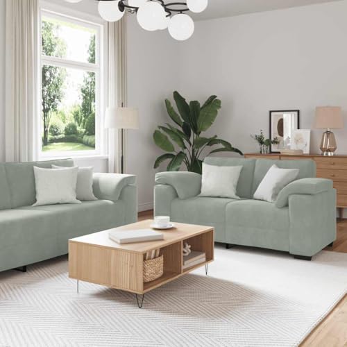 Qnhdfrt 3-TLG. Sofagarnitur Hellgrau Samt mit Sessel 100 cm 2-Sitzer 160 cm 3-Sitzer 219 cm Robuste Holz/Metall-Konstruktion Moderne Schlafsofa Couch für Wohnzimmer Büro Jugendzimmer Qnhdfrt 3-TLG. Sofagarnitur Hellgrau Samt mit Sessel 100 cm 2-Sitzer 160 cm 3-Sitzer 219 cm Robuste Holz/Metall-Konstruktion Moderne Schlafsofa Couch für Wohnzimmer Büro Jugendzimmer von Qnhdfrt