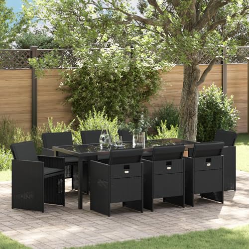 Qnhdfrt 9-teilige Garten-Essgruppe Schwarz Outdoor Möbel mit faltbaren Stühlen für 8 Personen Rechteckig Metallstahl Modernes Design für Terrasse Balkon Garten von Qnhdfrt