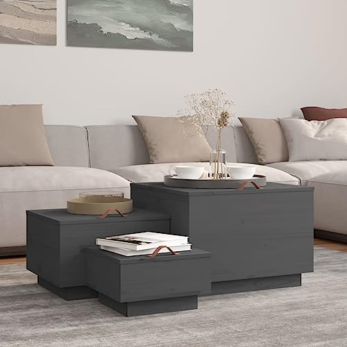 Qnhdfrt Aufbewahrungsboxen 3er Set Grau Massivholz Kiefer mit Deckeln Stauraum Organizer für Haushalt Wohnzimmer Garten von Qnhdfrt