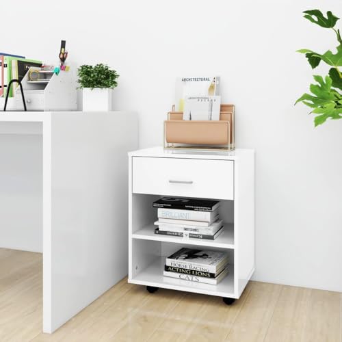 Qnhdfrt Aufbewahrungsschrank mit Rollen Hochglanz Weiß 46x36x59 cm Kleiner Mobiler Organizer Schrank für Büro Homeoffice und Lager Qnhdfrt Aufbewahrungsschrank mit Rollen Hochglanz Weiß 46x36x59 cm Kleiner Mobiler Organizer Schrank für Büro Homeoffice und Lager von Qnhdfrt