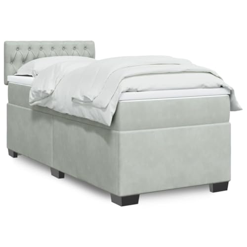 Qnhdfrt Boxspringbett 100x200 cm Samt Himmelgrau mit Taschenfederkernmatratze und Kopfteil für erholsamen Schlaf im Schlafzimmer von Qnhdfrt