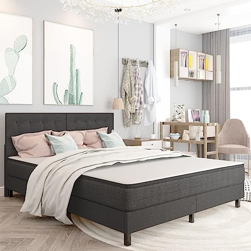 Qnhdfrt Boxspringbett Dunkelgrau 160x200 cm Modernes Design mit Strapazierfähigem Stoffbezug und Federkernmatratze für Erholsamen Schlaf Robustes MDF Metall Gestell für Schlafzimmer Gästezimmer Qnhdfrt Boxspringbett Dunkelgrau 160x200 cm Modernes Design mit Strapazierfähigem Stoffbezug und Federkernmatratze für Erholsamen Schlaf Robustes MDF Metall Gestell für Schlafzimmer Gästezimmer von Qnhdfrt