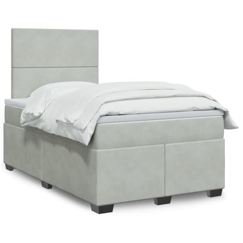 Qnhdfrt Boxspringbett Hellgrau 120x190 cm mit Taschenfederkernmatratze und höhenverstellbarem Kopfteil Samtstoff Bezug für erholsamen Schlaf Komfortables Gästebett oder Doppelbett von Qnhdfrt