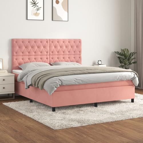 Qnhdfrt Boxspringbett Rosa 160x200 cm Samt mit höhenverstellbarem Kopfteil Taschenfederkernmatratze und hautfreundlicher Auflage für erholsamen Schlaf im Schlafzimmer von Qnhdfrt