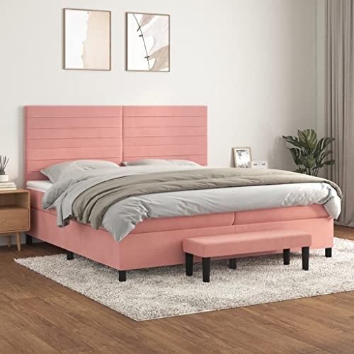 Qnhdfrt Boxspringbett Rosa 200x200 cm Samt mit höhenverstellbarem Kopfteil Taschenfederkernmatratze und praktischer Bank für Schlafzimmer Gästezimmer von Qnhdfrt