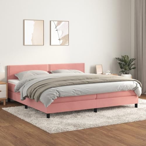 Qnhdfrt Boxspringbett Rosa 200x200 cm Samt mit höhenverstellbarem Kopfteil Taschenfederkernmatratze und weicher Matratzenauflage für erholsamen Schlaf im Schlafzimmer Qnhdfrt Boxspringbett Rosa 200x200 cm Samt mit höhenverstellbarem Kopfteil Taschenfederkernmatratze und weicher Matratzenauflage für erholsamen Schlaf im Schlafzimmer von Qnhdfrt