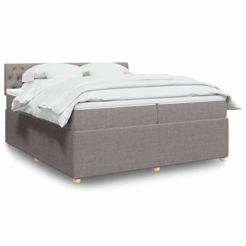 Qnhdfrt Boxspringbett Taupe 200x200 cm mit Taschenfederkernmatratze und LED-Beleuchtung Stoffbezug Polyester Atmungsaktiv für Schlafzimmer Gästebett Qnhdfrt Boxspringbett Taupe 200x200 cm mit Taschenfederkernmatratze und LED-Beleuchtung Stoffbezug Polyester Atmungsaktiv für Schlafzimmer Gästebett von Qnhdfrt