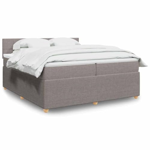 Qnhdfrt Boxspringbett Taupe 200x200 cm mit Taschenfederkernmatratze und LED-Beleuchtung Stoffbezug für maximalen Schlafkomfort Qnhdfrt Boxspringbett Taupe 200x200 cm mit Taschenfederkernmatratze und LED-Beleuchtung Stoffbezug für maximalen Schlafkomfort von Qnhdfrt