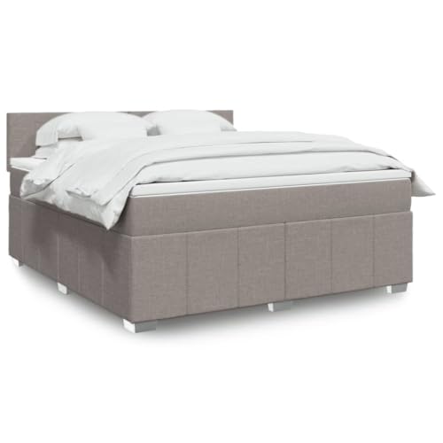 Qnhdfrt Boxspringbett mit LED Beleuchtung und Taschenfederkern Matratze 180x200 cm Taupe Stoff Polyester Atmungsaktiv und Langlebig für Schlafzimmer Gästebett Qnhdfrt Boxspringbett mit LED Beleuchtung und Taschenfederkern Matratze 180x200 cm Taupe Stoff Polyester Atmungsaktiv und Langlebig für Schlafzimmer Gästebett von Qnhdfrt