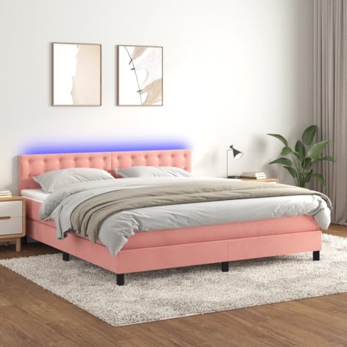 Qnhdfrt Boxspringbett mit Matratze und LED 160x200 cm Rosa Samt Kopfteil verstellbar Taschenfederkern für erholsamen Schlaf im Schlafzimmer Qnhdfrt Boxspringbett mit Matratze und LED 160x200 cm Rosa Samt Kopfteil verstellbar Taschenfederkern für erholsamen Schlaf im Schlafzimmer von Qnhdfrt