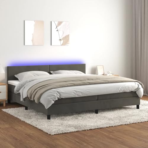 Qnhdfrt Boxspringbett mit Matratze und LED Beleuchtung 200x200 cm Dunkelgrau Samt Kopfteil höhenverstellbar Taschenfederkernmatratze für erholsamen Schlaf von Qnhdfrt