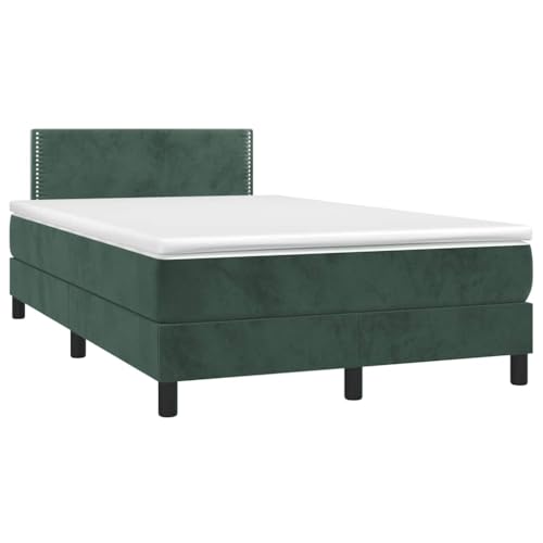 Qnhdfrt Boxspringbett mit Matratze und LED Beleuchtung Dunkelgrün 120x190 cm Samtbezug Höhenverstellbares Kopfteil Taschenfederkernmatratze für Schlafzimmer Gästebett von Qnhdfrt
