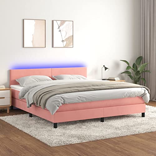 Qnhdfrt Boxspringbett mit Matratze und LED in Rosa 180x200 cm Samt Kopfteil höhenverstellbar Taschenfederkernmatratze für erholsamen Schlaf Qnhdfrt Boxspringbett mit Matratze und LED in Rosa 180x200 cm Samt Kopfteil höhenverstellbar Taschenfederkernmatratze für erholsamen Schlaf von Qnhdfrt