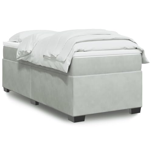 Qnhdfrt Boxspringbett mit Taschenfederkernmatratze und Samtbezug 100 x 200 cm Hellgrau für erholsamen Schlaf mit optimaler Unterstützung Qnhdfrt Boxspringbett mit Taschenfederkernmatratze und Samtbezug 100 x 200 cm Hellgrau für erholsamen Schlaf mit optimaler Unterstützung von Qnhdfrt