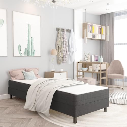 Qnhdfrt Boxspringbettgestell Grau 90x200 cm Elegantes Design mit Robustem MDF und Metallrahmen Langlebiger Stoffbezug aus Polyester Einfache Montage für Schlafzimmer Gästebett oder Jugendzimmer Qnhdfrt Boxspringbettgestell Grau 90x200 cm Elegantes Design mit Robustem MDF und Metallrahmen Langlebiger Stoffbezug aus Polyester Einfache Montage für Schlafzimmer Gästebett oder Jugendzimmer von Qnhdfrt
