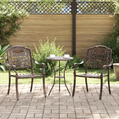 Qnhdfrt Bronzener Gartenstuhl aus Aluminiumguss 2 Stück für Garten Balkon und Terrasse mit Robustem Design Leichtem Gewicht und Wetterfestem Finish von Qnhdfrt