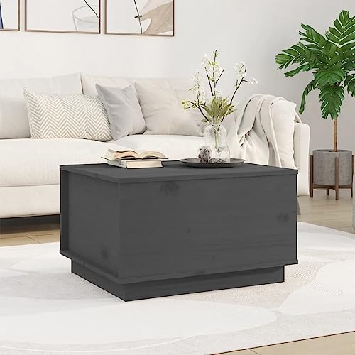 Qnhdfrt Couchtisch Grau 60x50x35 cm Massivholz Kiefer mit Hebeplatte und Stauraum - Beistelltisch für Wohnzimmer Qnhdfrt Couchtisch Grau 60x50x35 cm Massivholz Kiefer mit Hebeplatte und Stauraum - Beistelltisch für Wohnzimmer von Qnhdfrt
