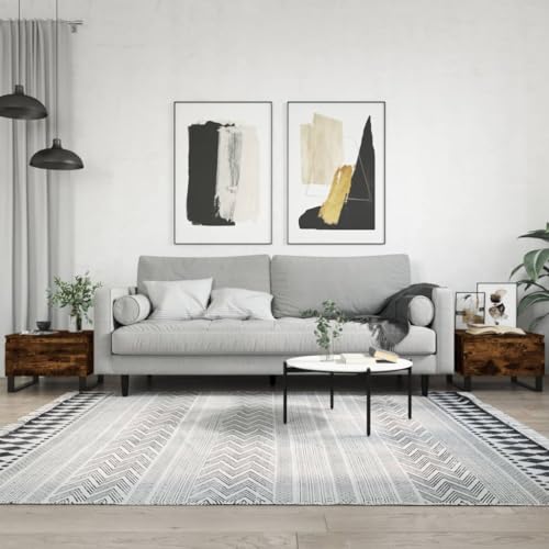 Qnhdfrt Couchtisch Set 2 STK Beistelltische Räuchereiche Holzwerkstoff Metallbeine 50x46x35 cm Moderner Stauraum für Wohnzimmer Couch Qnhdfrt Couchtisch Set 2 STK Beistelltische Räuchereiche Holzwerkstoff Metallbeine 50x46x35 cm Moderner Stauraum für Wohnzimmer Couch von Qnhdfrt