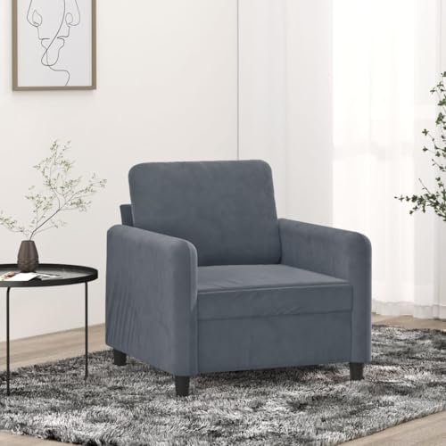 Qnhdfrt Dunkelgrauer Samt Sessel 60 cm Sitzbreite Moderner Relaxsessel für Wohnzimmer Balkon und Jugendzimmer mit Stabilen Metallgestell von Qnhdfrt